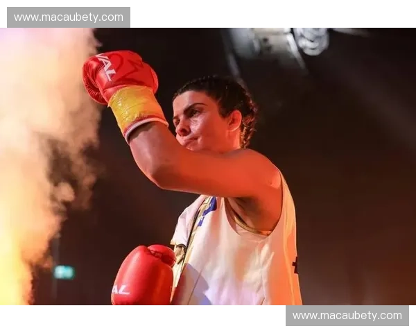 拳击转会：搏击世界的新时代