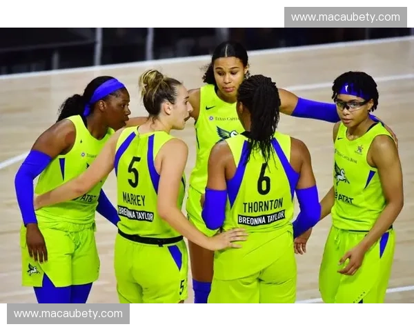 巅峰回响：西雅图风暴vs明尼苏达天猫，谁才是WNBA真正的王朝禁卫军？