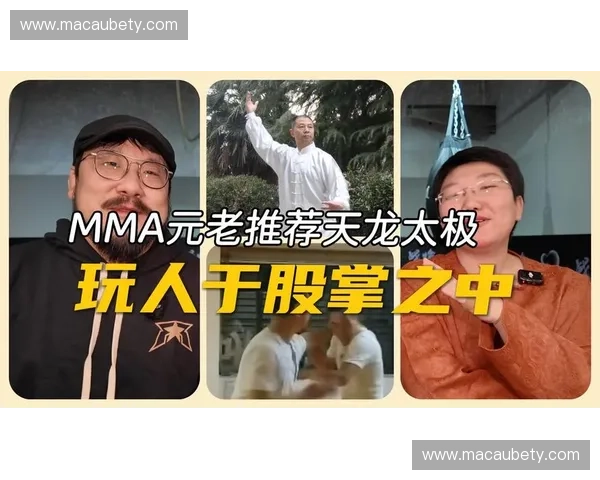 刚柔并济，武道轮回：当MMA遇见太极，一场跨越时空的对话